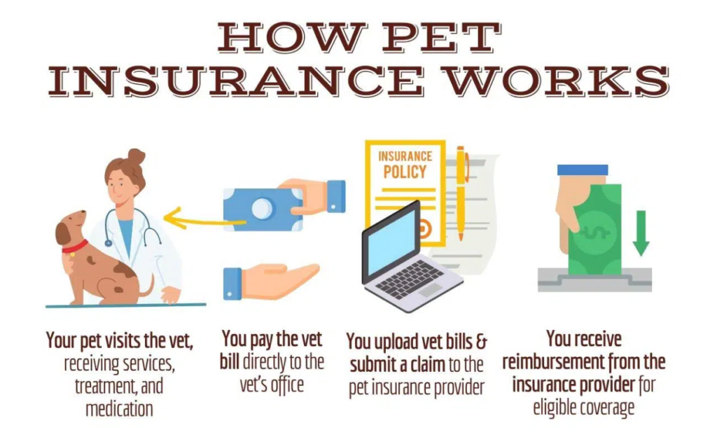 How Does Pet Insurance Indiana Work?