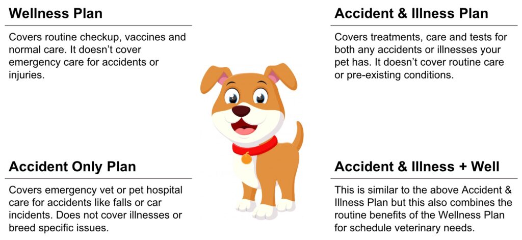 Types of Pet Insurance California Coverage 