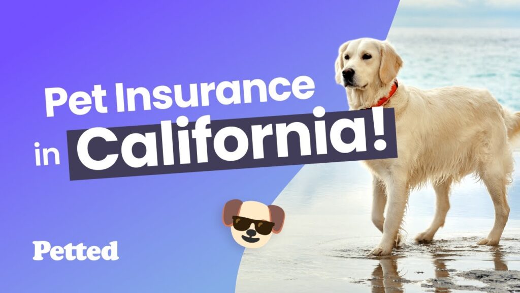 Pet insurance California