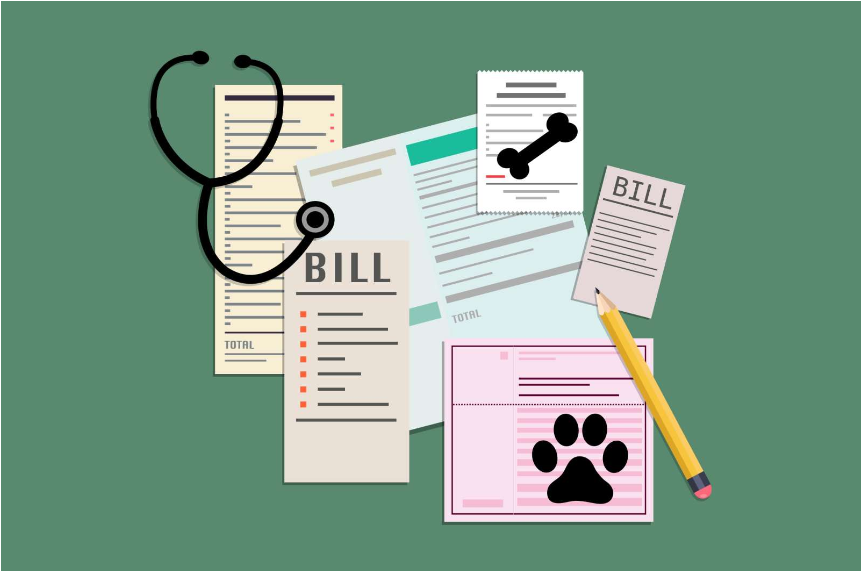 What is a Disadvantage of Pet Insurance?