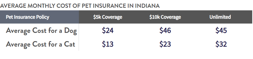 Indiana's Average Pet Insurance Cost for Dogs and Cats