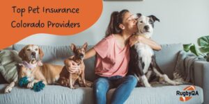 Top Pet Insurance Colorado Providers