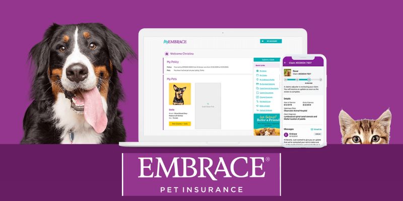 Embrace pet insurance