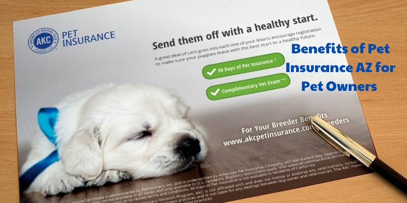 Benefits of Pet Insurance AZ for Pet Owners 