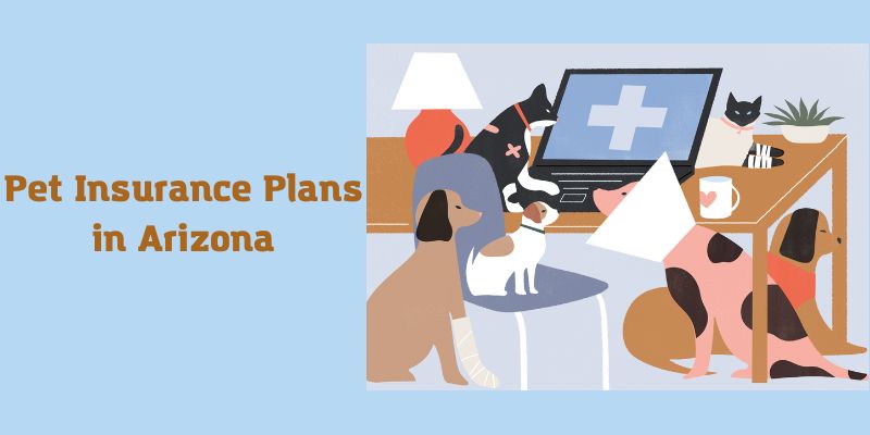 Pet Insurance Plans in Arizona