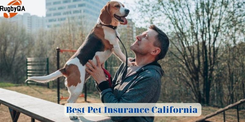 Best Pet Insurance California