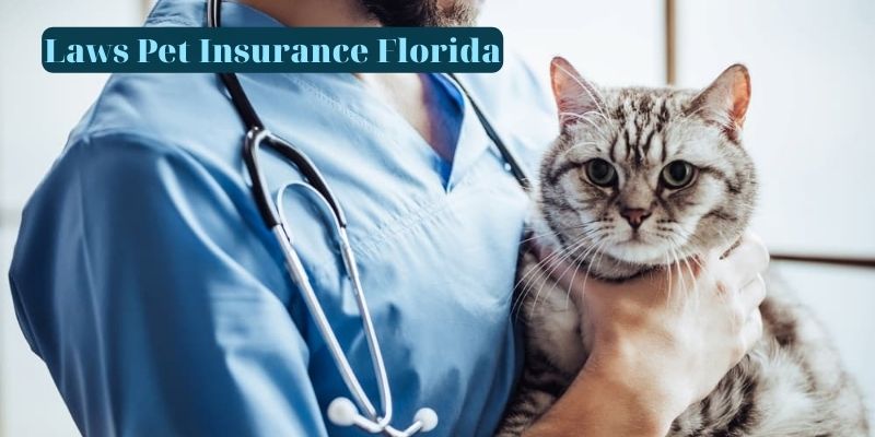 Laws Pet Insurance Florida